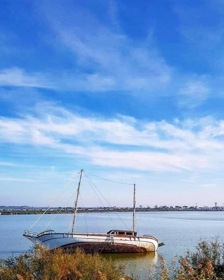 Studio 237 Port Camargue, Piscine, Climatisation, 2 Personnes Le Grau-du-Roi Eksteriør bilde